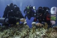 Νέα ευρήματα απο το Ναυάγιο των Αντικυθήρων
