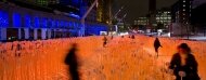 Entre les rangs, Luminothérapie, Place des Festivals, Montréal